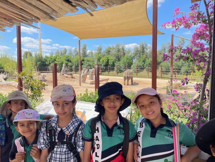 a group of girls standing in front of an elephant at the zoo.